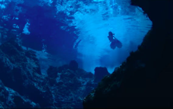 神秘的な海の世界 人魚 マーメイド が登場する映画まとめ Lafary ラファリー
