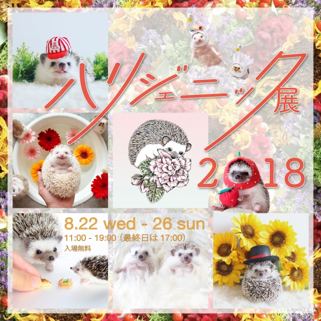 キュートなハリネズミに癒されて..♡「ハリジェニック展2018」