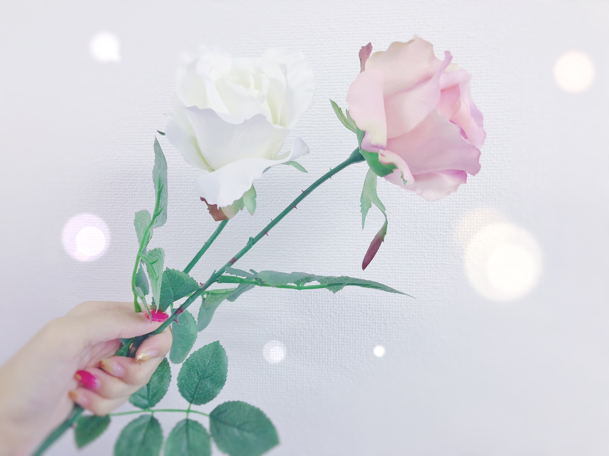 ロマンチックに愛を届ける バラの色や本数には意味がある Lafary